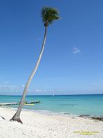 bayahibe